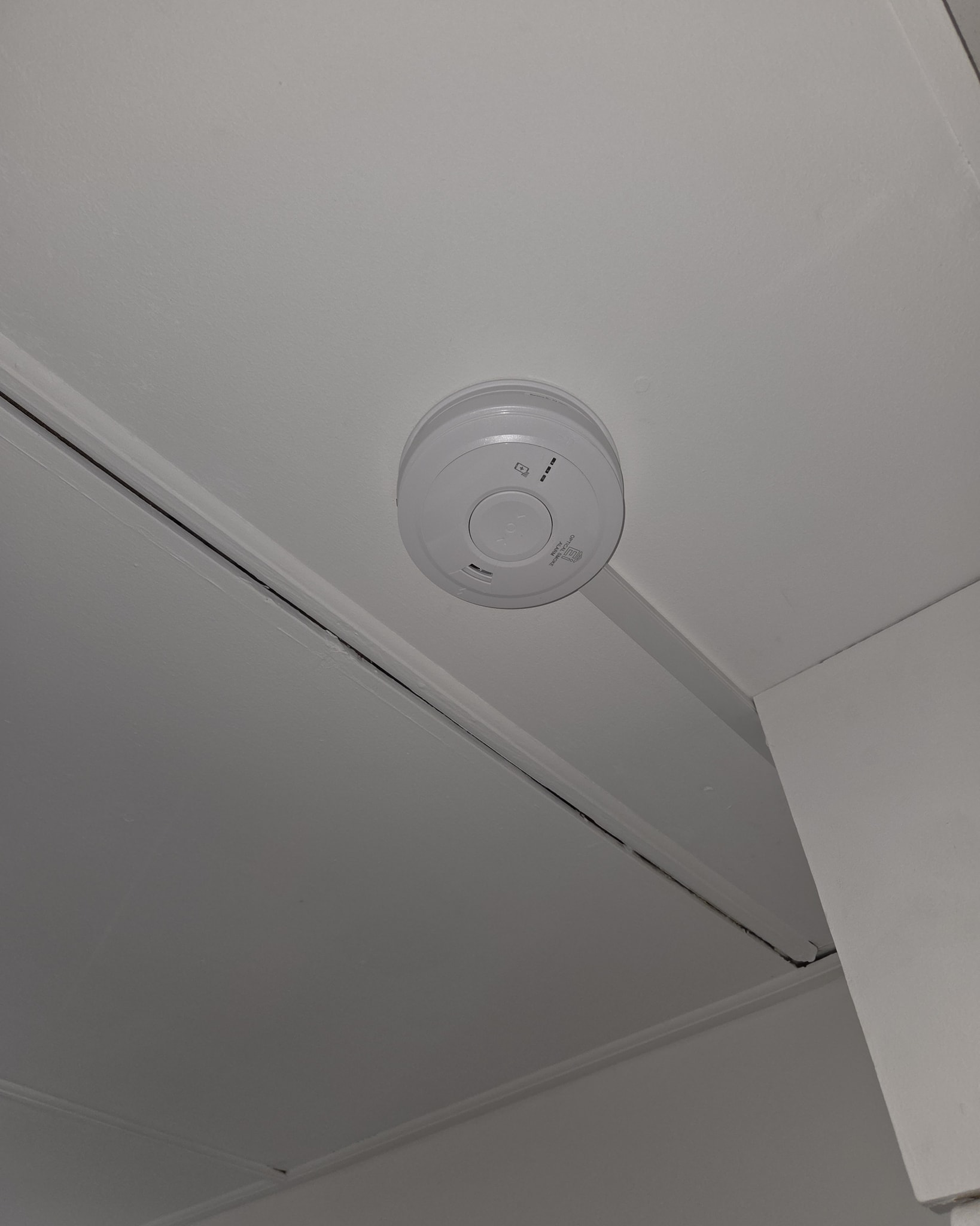 domestic fire alarm installation services